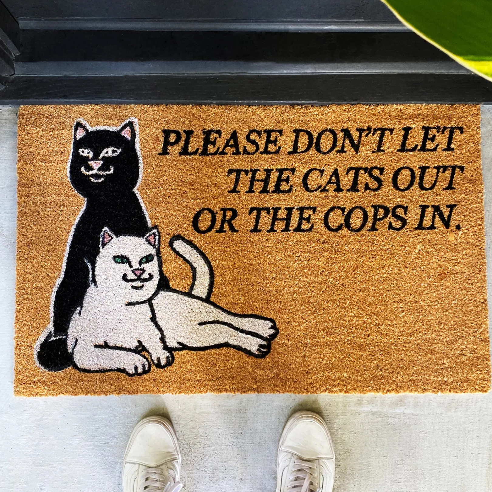 Don't Let The Cops In Rug (Brown)<Ripndip Clearance