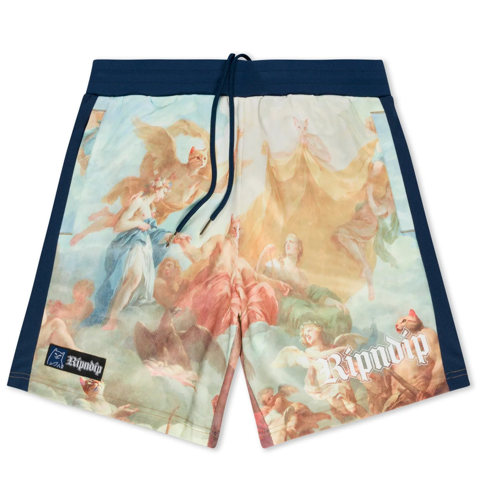 Heavens Waiting Soccer Shorts (Navy Multi)<Ripndip Online