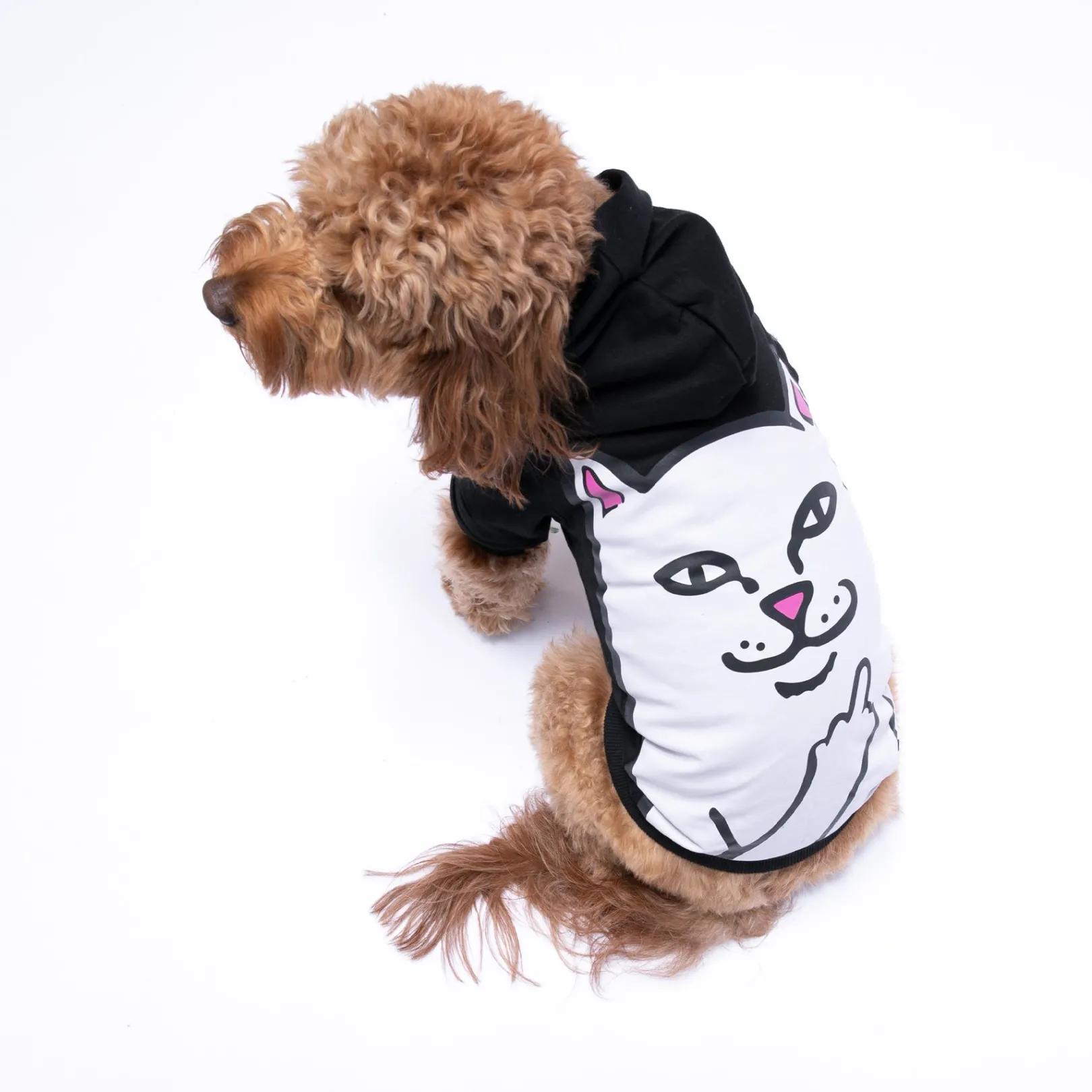 Lord Nermal Pet Hoodie (Black)<Ripndip Outlet