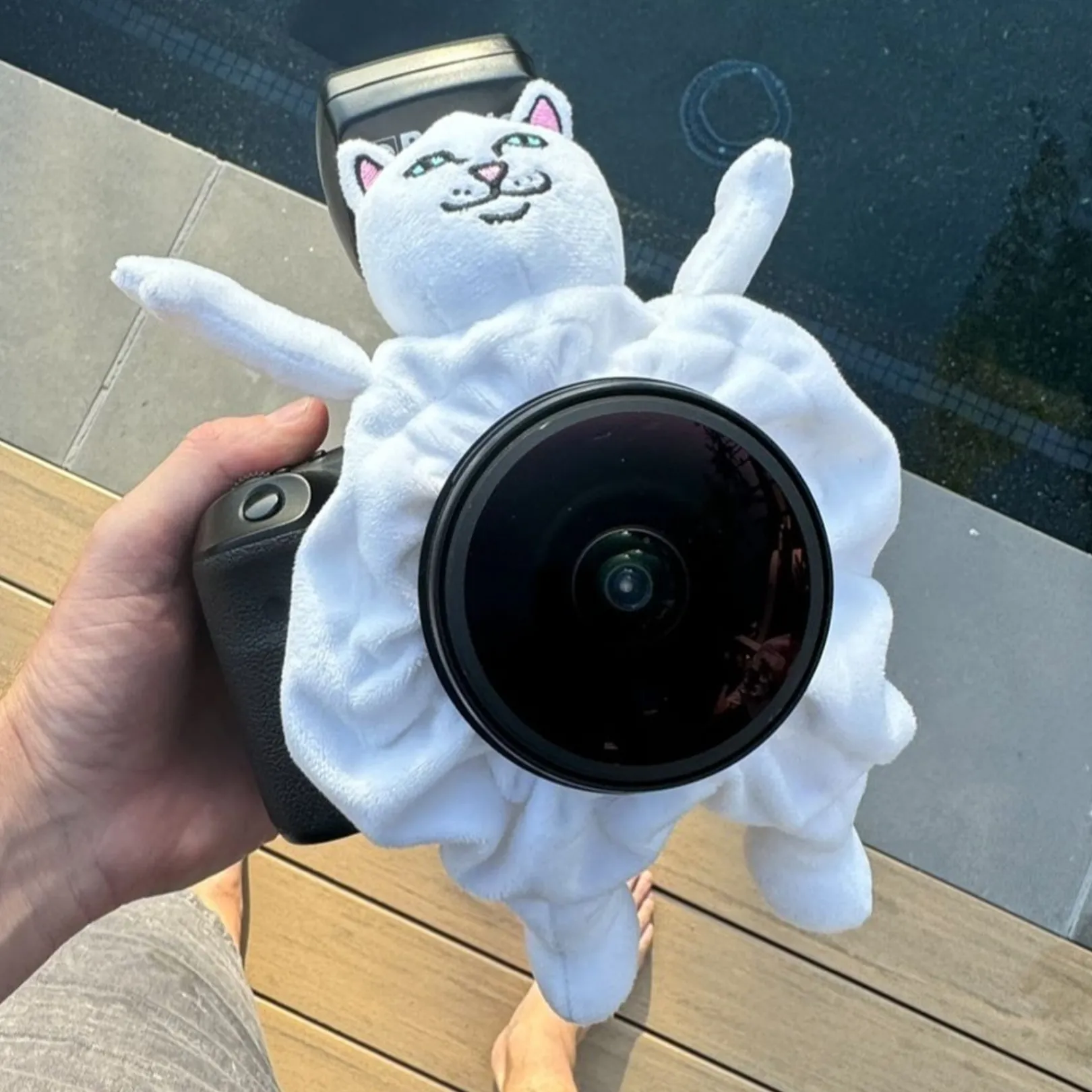 Lord Nermal Shutter Hugger (White)<Ripndip Online