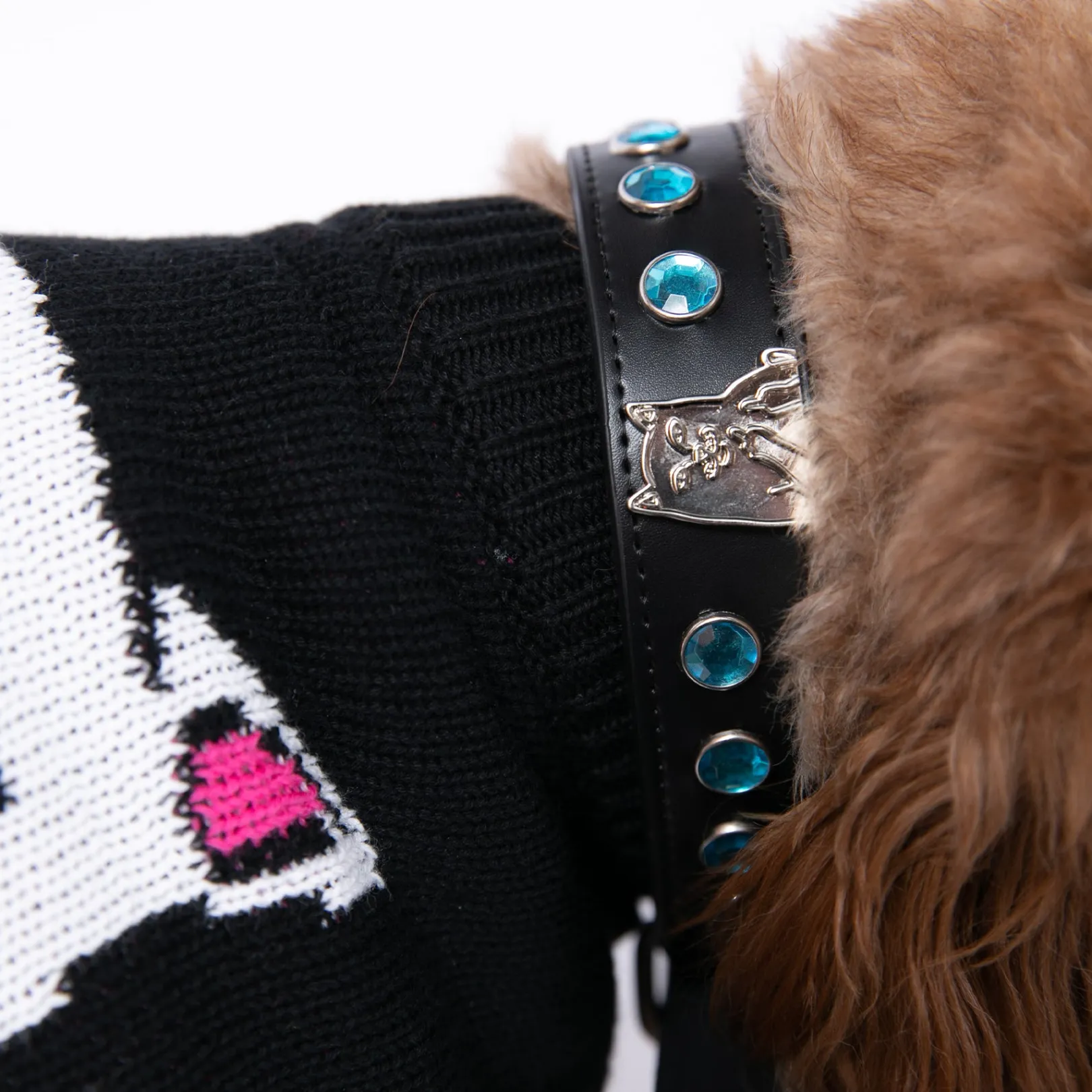 Lord Nermal Studded Pet Collar (Black)<Ripndip Best Sale