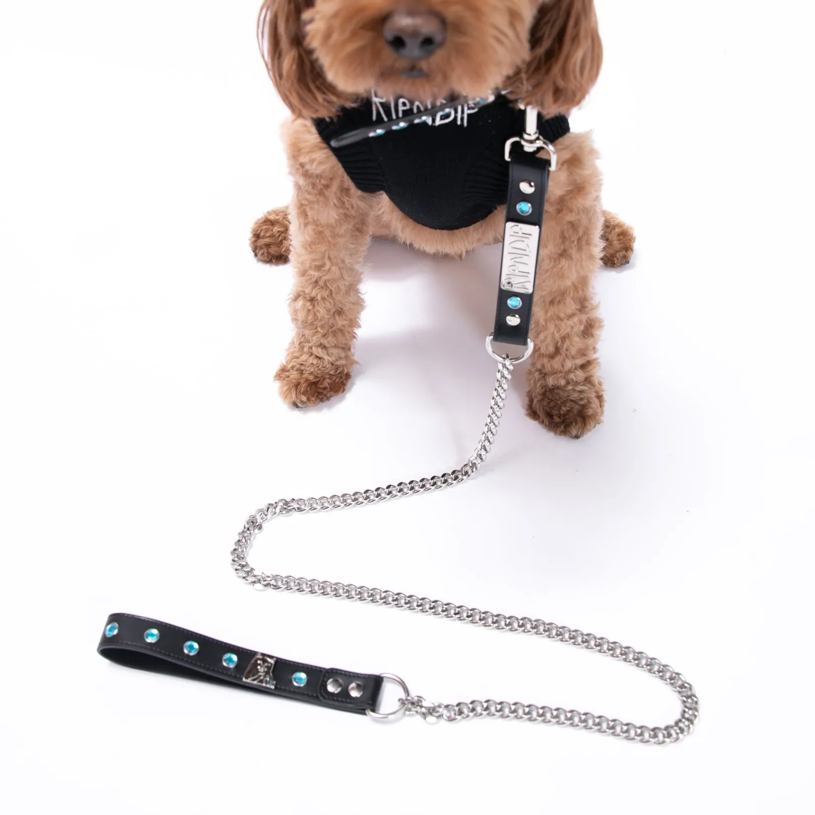 Lord Nermal Studded Pet Leash (Black)<Ripndip Flash Sale