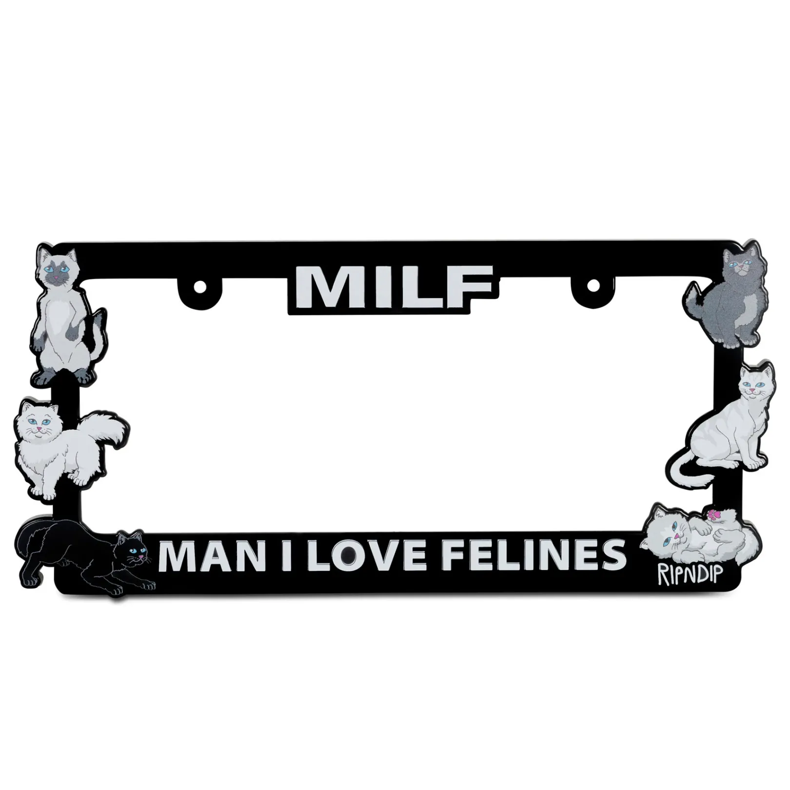 Man I Love Felines License Plate Holder (Black)<Ripndip Cheap