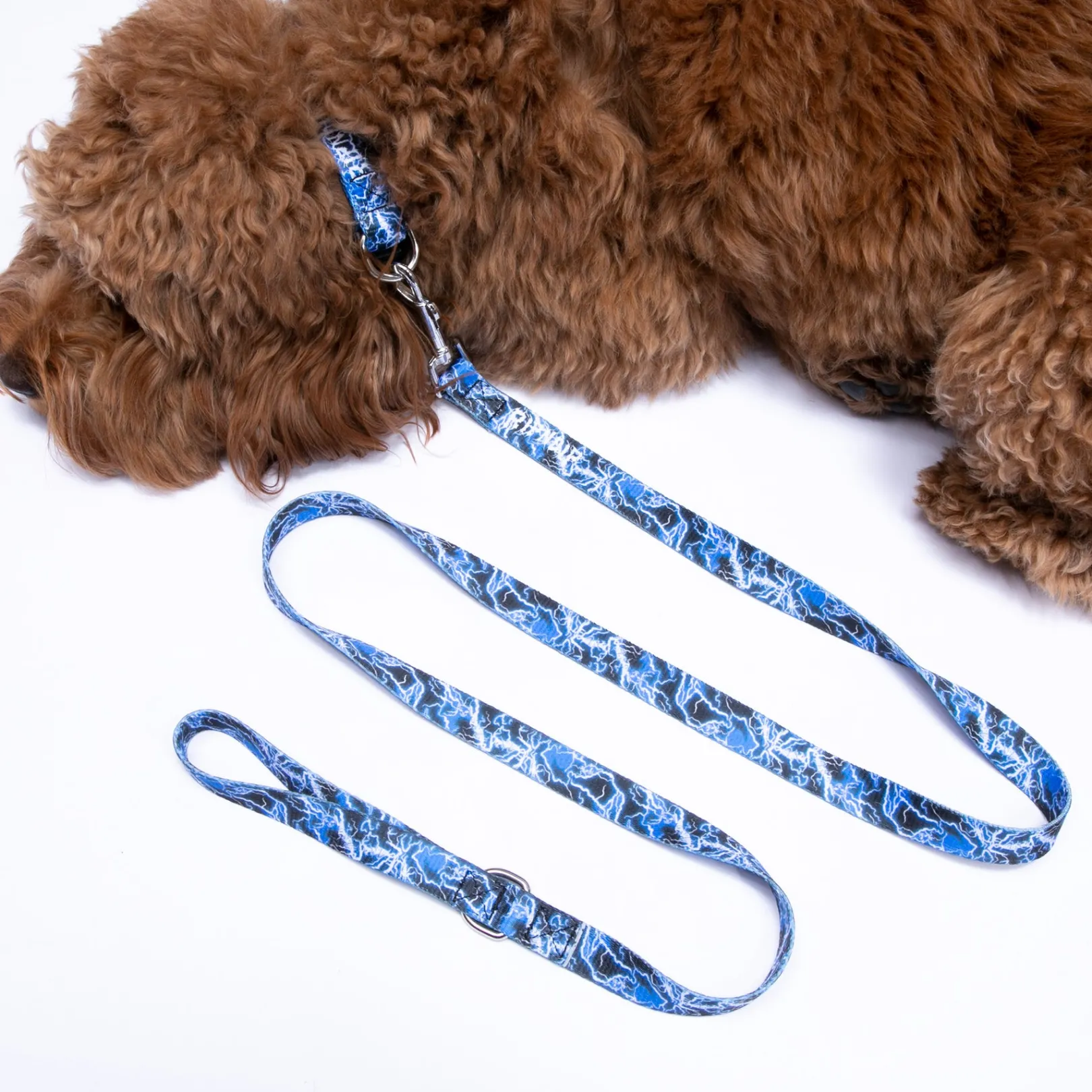 Nikola Pet Leash<Ripndip New